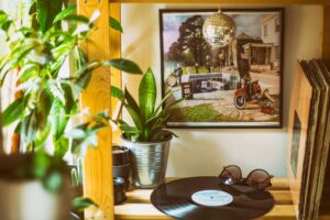 How to Refresh Your Home with Plants: Easy Tips for a Greener Space