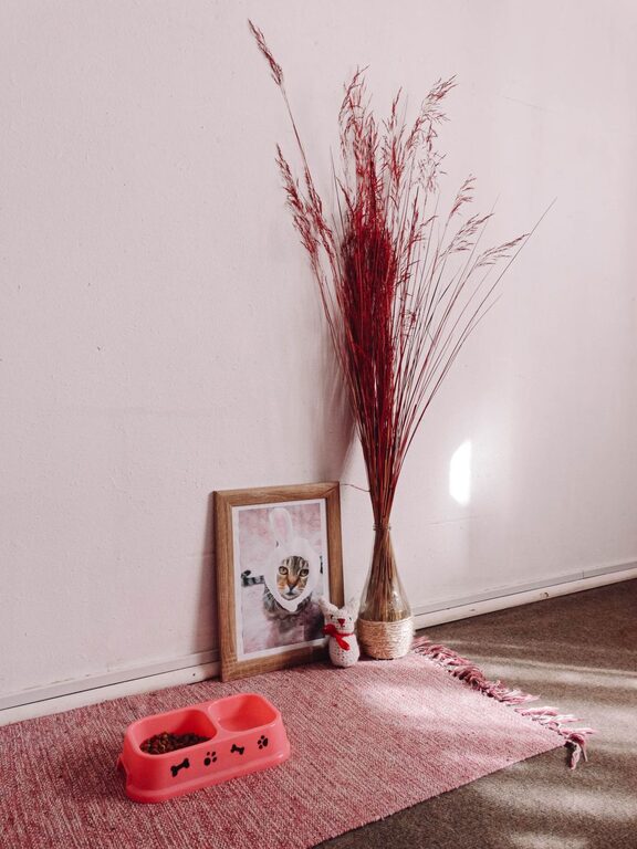 How to Create a Cozy and Safe Pet-Friendly Home Corner
